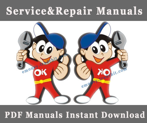 Product picture 2004 Kawasaki KX250N Service Repair Manual Download